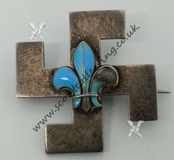 Type 3 Thanks Badge Silver Blue Fleur-de-lis 