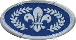 Chief's Scout Silver