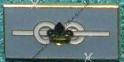   25 years Length of Service brooch 2