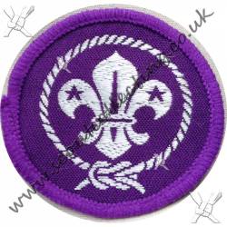 Membership Badge Post 1971