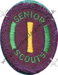 Senior Scout Instructor