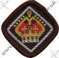 Queen Scout Award