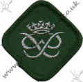 Silver Duke of Edinburgh Award