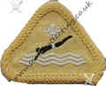 Swimmer Stage 2