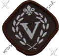 Venture Scout Award