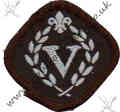 Venture Scout Award